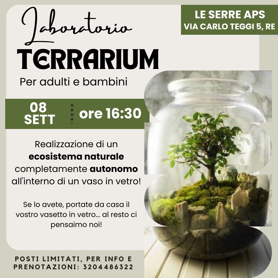 terrarium-3